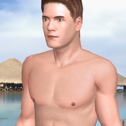 multiplayer virtual sex game player  hot boy Shichan, 