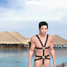 virtual sex game playing w. single girls like heterosexual talkative boy Haoran, China, Cuck, asian cuck