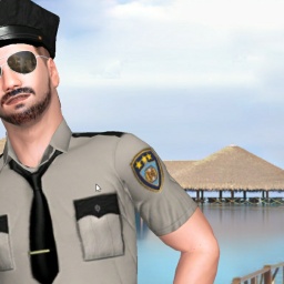 adults enjoying 3D sex games like  hot boy MaxPayneNYPD, 