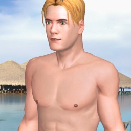 3Dsex game playing AChat community member homosexual hot boy DonCarl, 