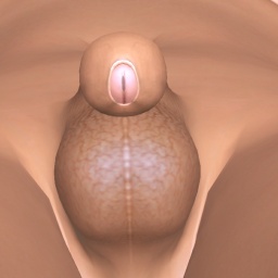 sexgame online MMO playing with adult member bisexual erotomanic shemale FurryLover69, Nigger, i love furries