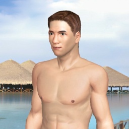 3D sex game community member heterosexual eroticism boy Yazawa0407, Japan, 