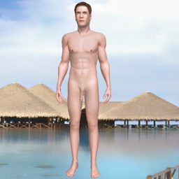 partner heterosexual hot boy BigShot,  for adult online game playing