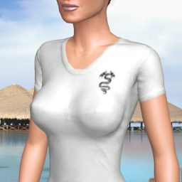 3Dsex game playing AChat community member heterosexual vuloptuous girl Fang123, 