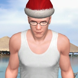 multiplayer virtual sex game player heterosexual sodomist boy ThorHammer, 