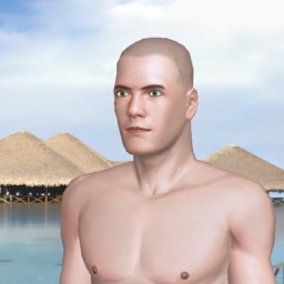 see  sodomist boy HW1919,  while playing porn game online