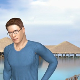multiplayer virtual sex game player heterosexual sodomist boy TheDoctor135, USA, 