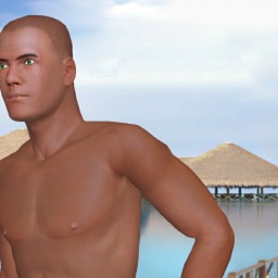 adults enjoying 3D sex games like heterosexual talky boy Nik023, just fuck