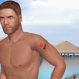 see heterosexual lovesick boy HankuS, Poland,  while playing porn game online