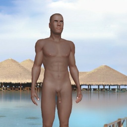 virtual sex game playing w. single girls like heterosexual pervert boy BIGTONY44, joe, Fat, 