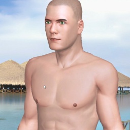 3D sex game community member bisexual emotional boy SGBlues, USA, 