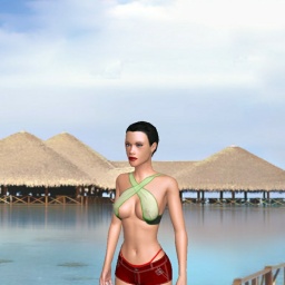 free 3D sex game adventures with heterosexual sodomist girl Yyyggg, usa, 