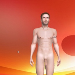 see heterosexual pervert boy DARKCYBOT, BR,  while playing porn game online