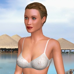 3Dsex game playing AChat community member heterosexual erotomanic girl Pyrocat, 