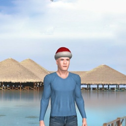 multiplayer virtual sex game player heterosexual lush boy Gremlinn, Romania, 