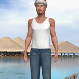 3Dsex game playing AChat community member heterosexual erotomanic boy AsiaGuy25, 