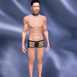3Dsex game playing AChat community member bisexual erotomanic boy Nicksl, Slave, slave