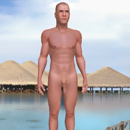 partner heterosexual emotional boy Adris,  for adult online game playing