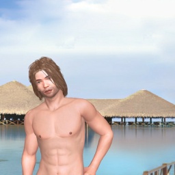 multiplayer virtual sex game player heterosexual hot boy John117, USA, 