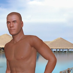 enjoy virtual sex games with mates like heterosexual erotomanic boy Maybe, america, 