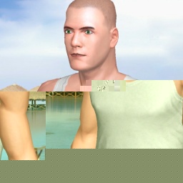 3Dsex game playing AChat community member heterosexual sentimental boy FuryKing, 