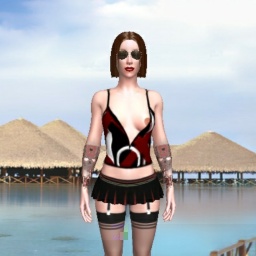 3Dsex game playing AChat community member heterosexual wordy girl Really_any1, Why bother?!?, malice and contempt