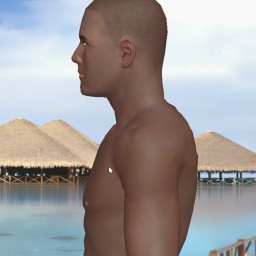 virtual sex and dating with people like heterosexual sodomist boy Damonkeybeac, 