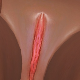 Check out heterosexual hot girl Alice20231,  if you want to oparticipate in sexgame MMORPG