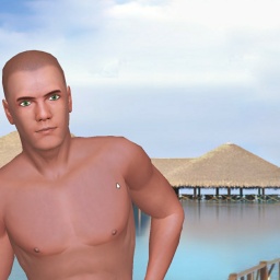 multiplayer virtual sex game player heterosexual lovesick boy Mattwie, 