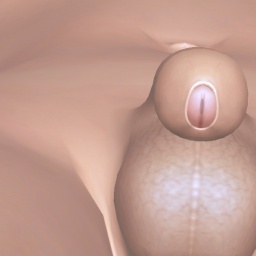 3Dsex game playing AChat community member bisexual devoted shemale Snowfall, 