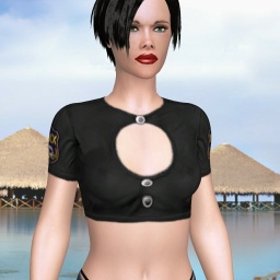 3Dsex game playing AChat community member heterosexual fiend girl Wendioo, 