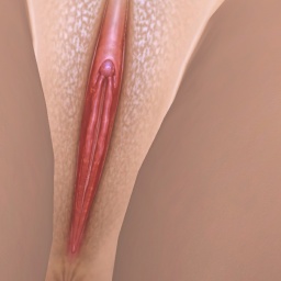 playing hot sex games with fans like bisexual pervert girl StellaBr, My character is goth lol, i m goth lol