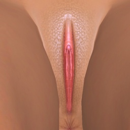 best sim sex game online with  hot girl Viviann, Submissive  breedable, cum here