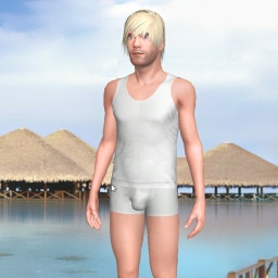 sexgame online MMO playing with adult member  hot boy Hello80, 