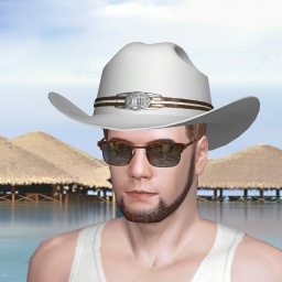 multiplayer virtual sex game player heterosexual verbose boy Jacksnake, US, 