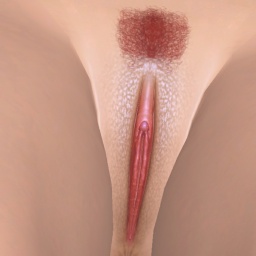 play online virtual sex game with member bisexual lustful girl ThisGurl6969, Atlantis, big titty redhead who loves to be naked 