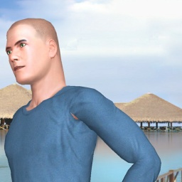 for 3D virtual sex game, join and contact heterosexual hot boy Trdn777, slave, human toilet