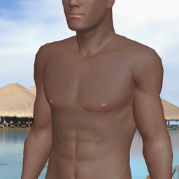 for 3D virtual sex game, join and contact heterosexual erotomanic boy Digo902, 