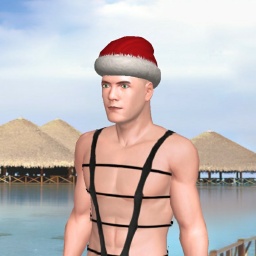 virtual sex game playing w. single girls like heterosexual narcissist boy BadWaffle, america, 