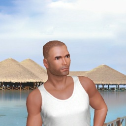 3Dsex game playing AChat community member heterosexual fiend boy Pol6000, 