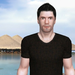 see heterosexual pervert boy HarryD, USA,  while playing porn game online