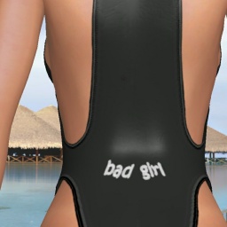 enjoy virtual sex games with mates like homosexual erotomanic girl Bredme34, US, 