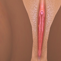 free cybersex experience with bisexual erotic girl HornyAsia, Germany, 