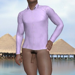 adults like  hot boy HeavyDick,  play AChat online sex games