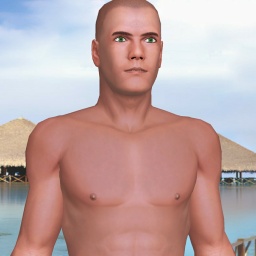 see heterosexual brute boy Ronin,  while playing porn game online