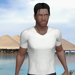 partner heterosexual bugger boy Le22,  for adult online game playing