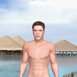 virtual sex and dating with people like heterosexual sex maniac boy T231, 
