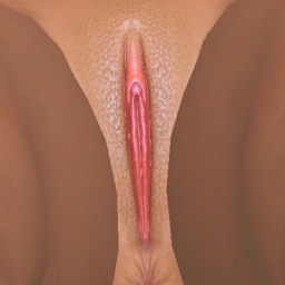 enjoy virtual sex games with mates like bisexual fiend girl Nicki, looking to hookup with older guys but any age works