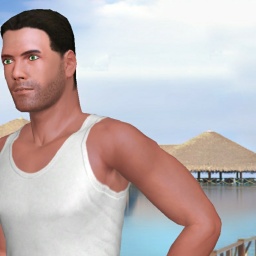multiplayer virtual sex game player heterosexual narcissist boy Balerion1, 