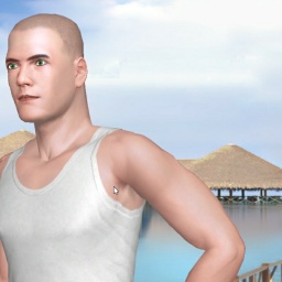 sexgame online MMO playing with adult member heterosexual fiend boy Meomeo, Jun, 